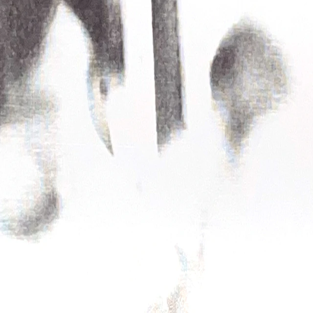 Horse Vision – You Could Have It