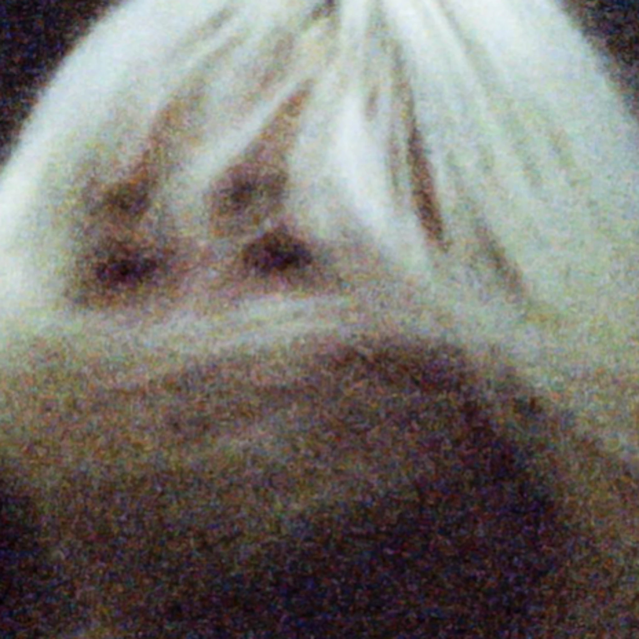 -ᐢ⑅ᐢ\ ♡ ₊˚ ꒰ ˶• ༝ •˶꒱ ♡‧₊˚ ♡ .-づ~ -¨·.·¨- ₊˚ `·..·‘ ₊˚ ♡