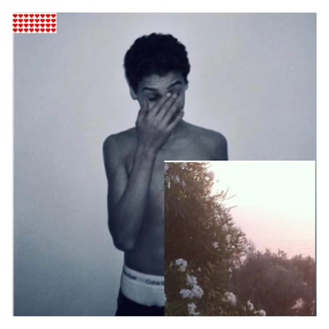 been a while ; the rush