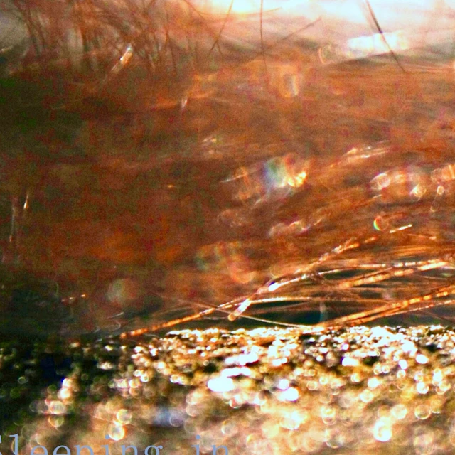 ema - Sleeping in (the postal service cover)