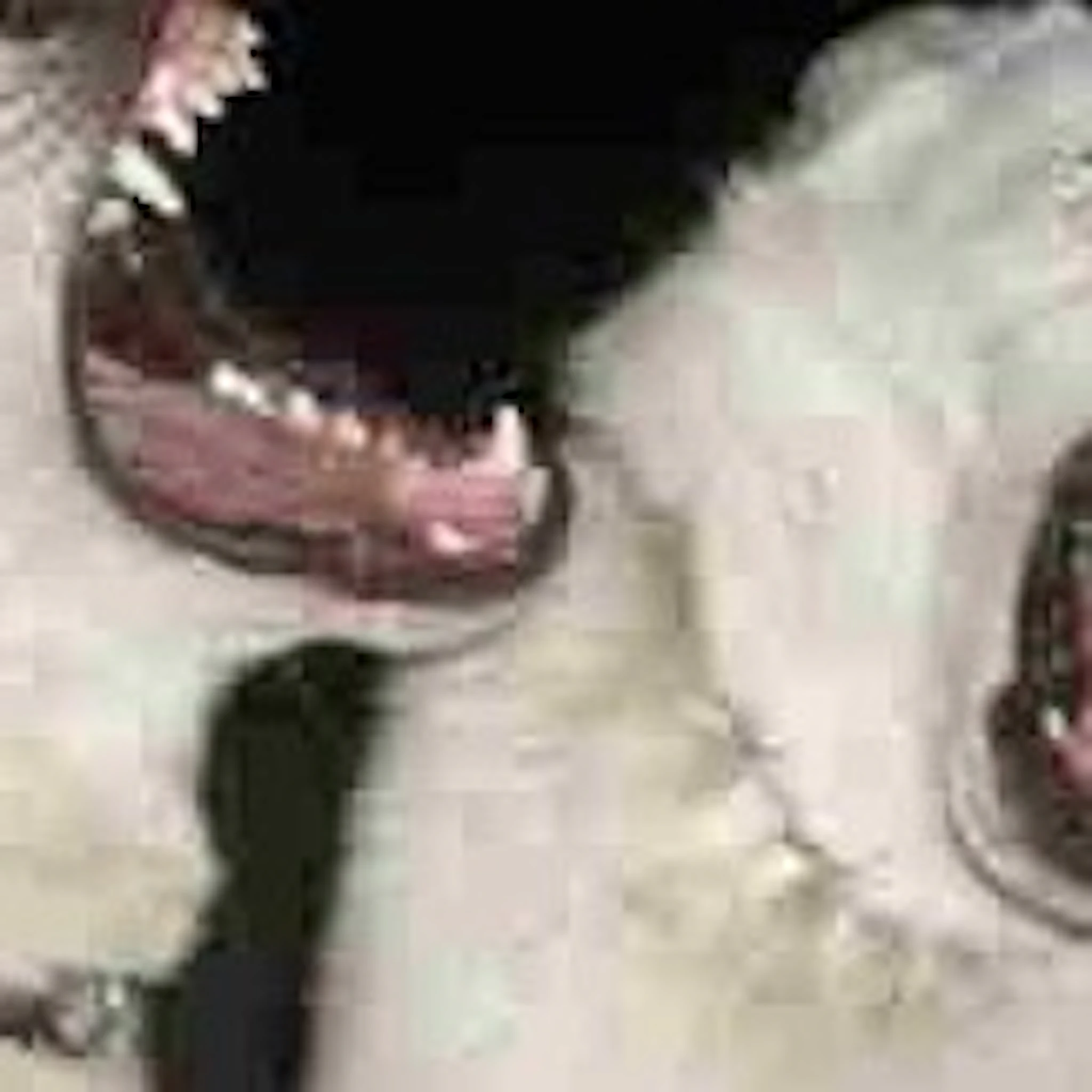 Aria Beaumont - 1992_mutt_ryan.mov