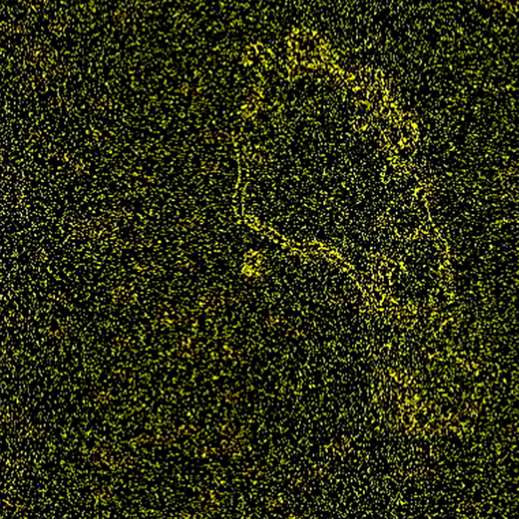 OrG.101H - Una Linea Umida