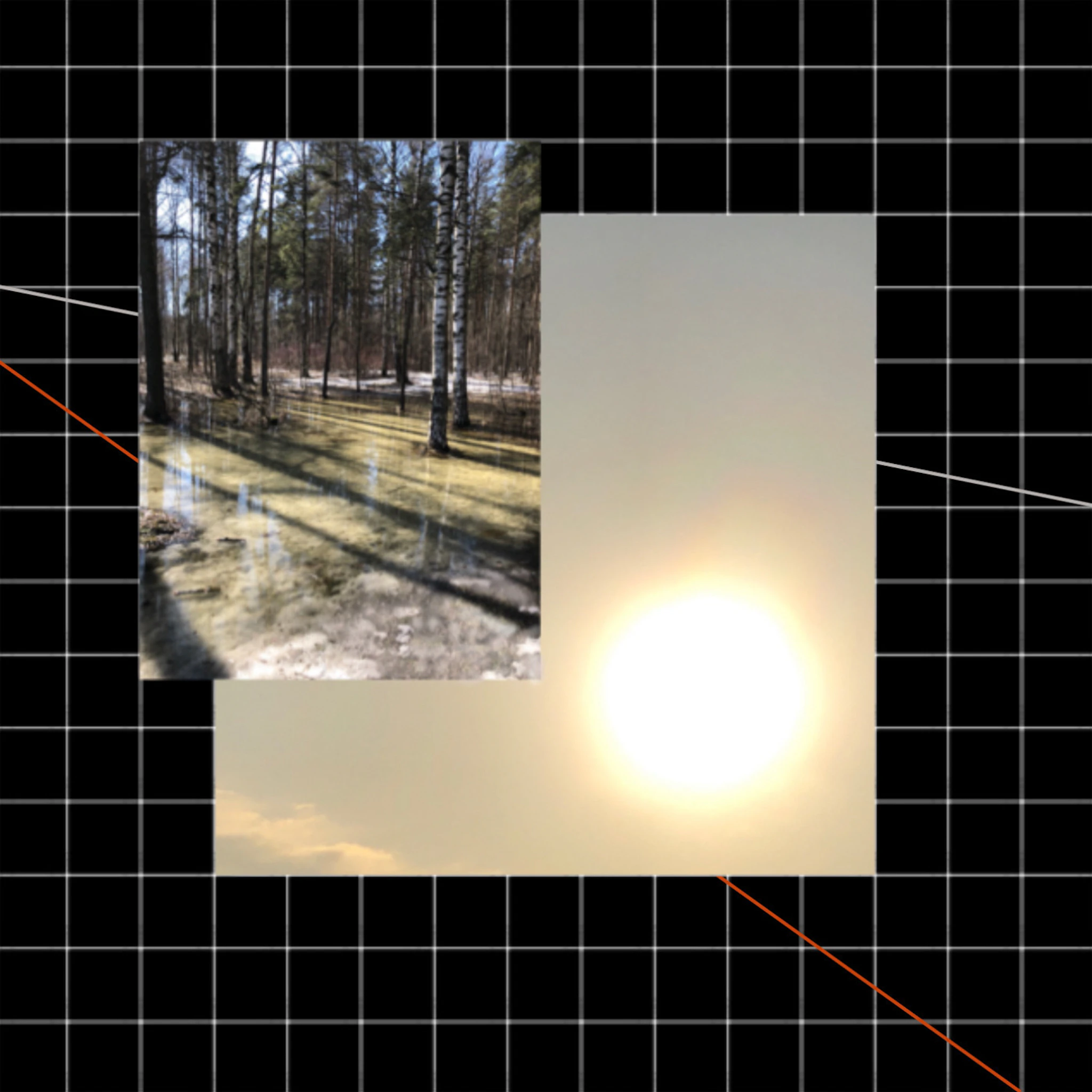 Vladimir Verushkin — Svobodnye Silnye Chuvstva