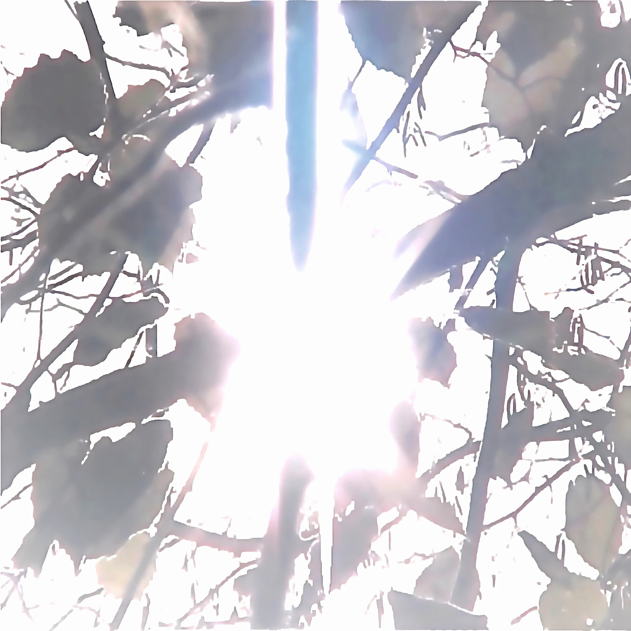 Vladimir Verushkin — Pervoe Nebesnoe Siyanie