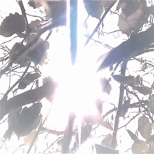 Vladimir Verushkin — Pervoe Nebesnoe Siyanie