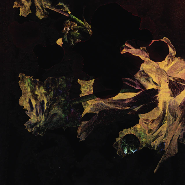 Den Der Hale - Silphium