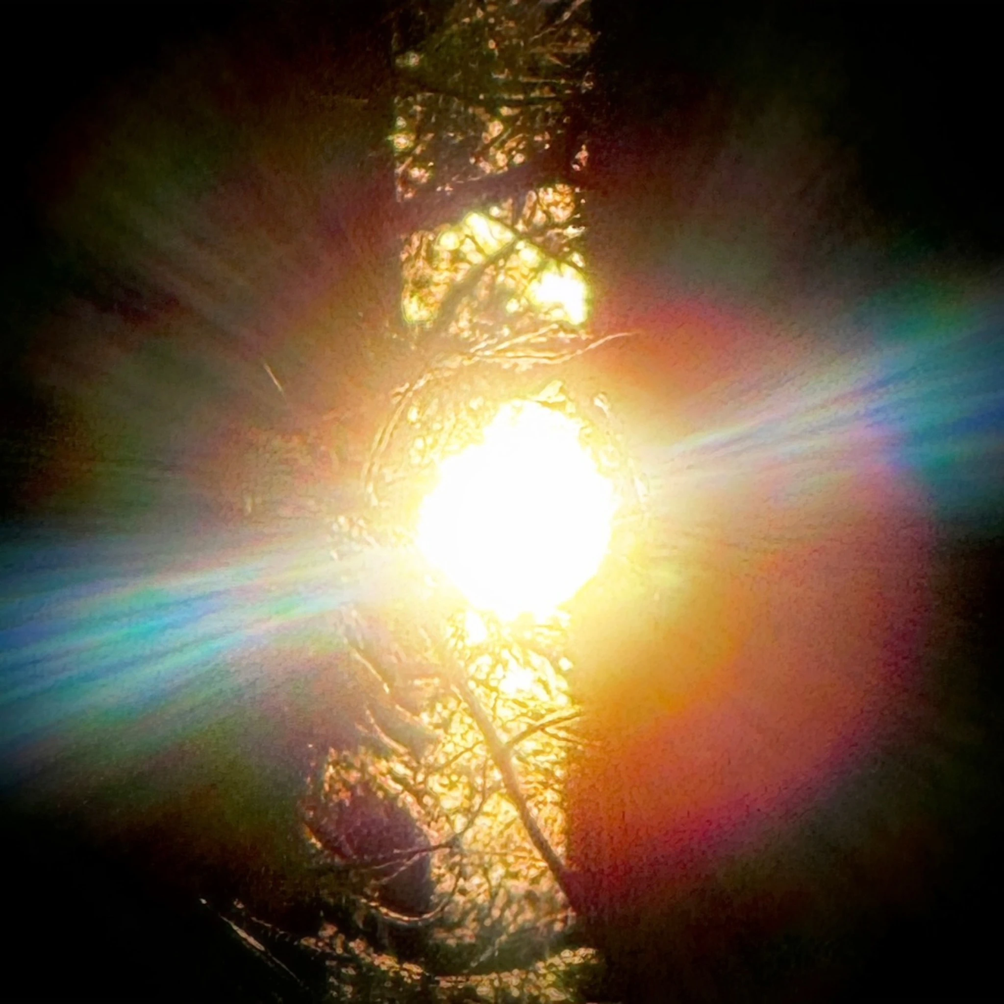 TONTO - Black Star Country