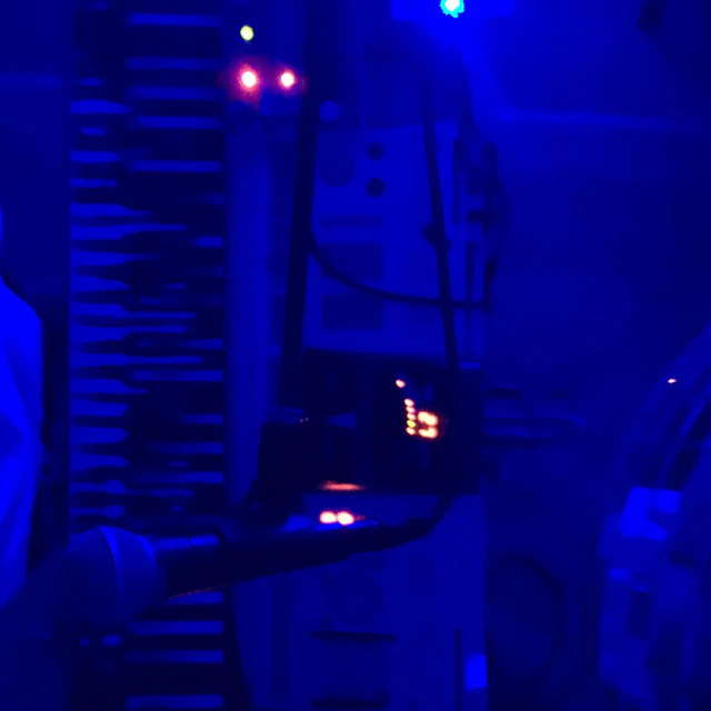 Vox Vulpes - Here I Go