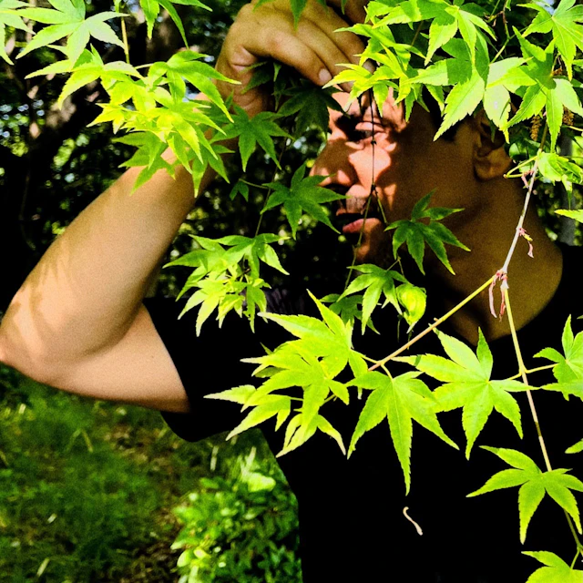 Tomerle - Live at Greenergy