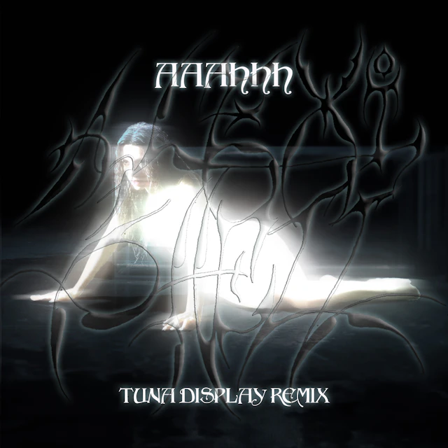 Alexi Shell - AAAHHH (Tuna Display Remix)