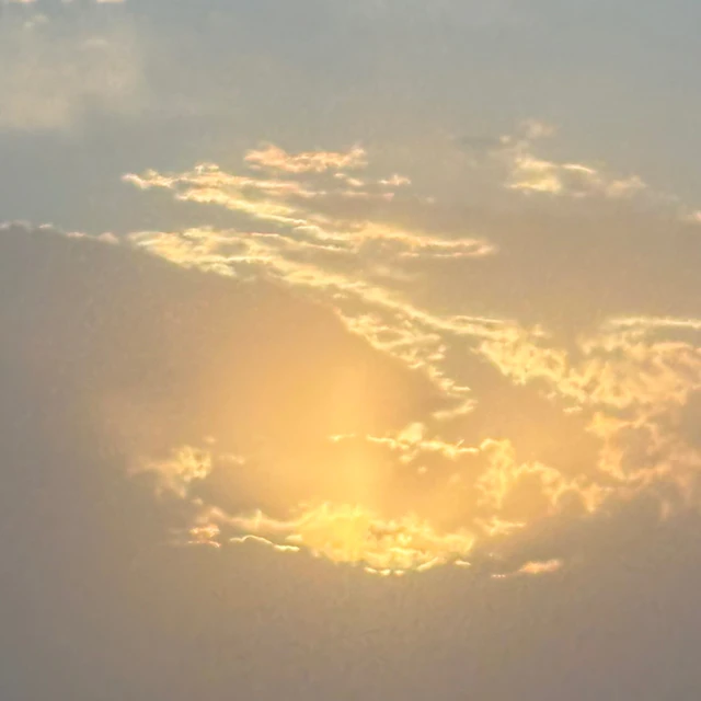 molassesforever - SPRING DEATH