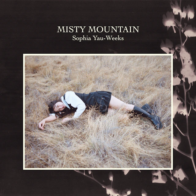 Sophia Yau-Weeks - Misty Mountain