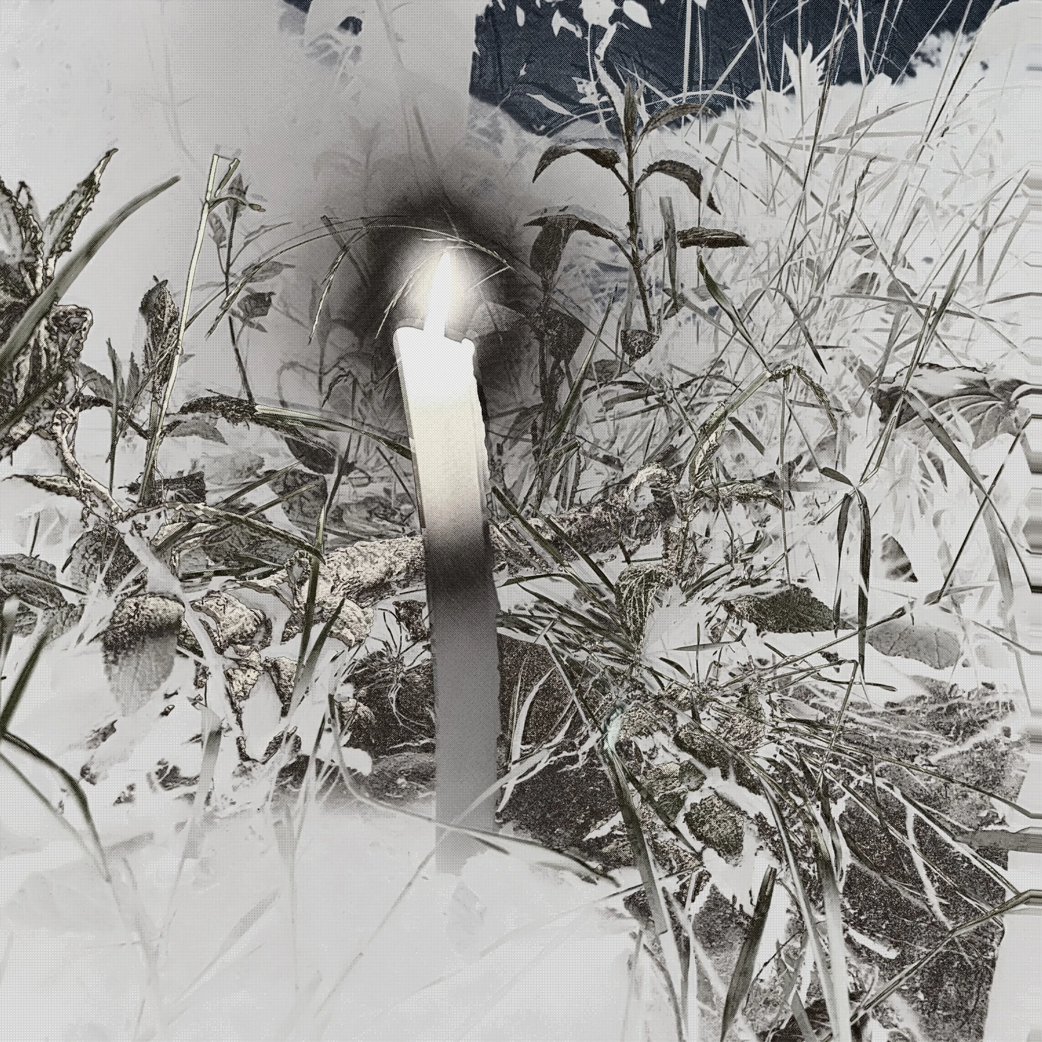 glass egg - visions & ecstasies