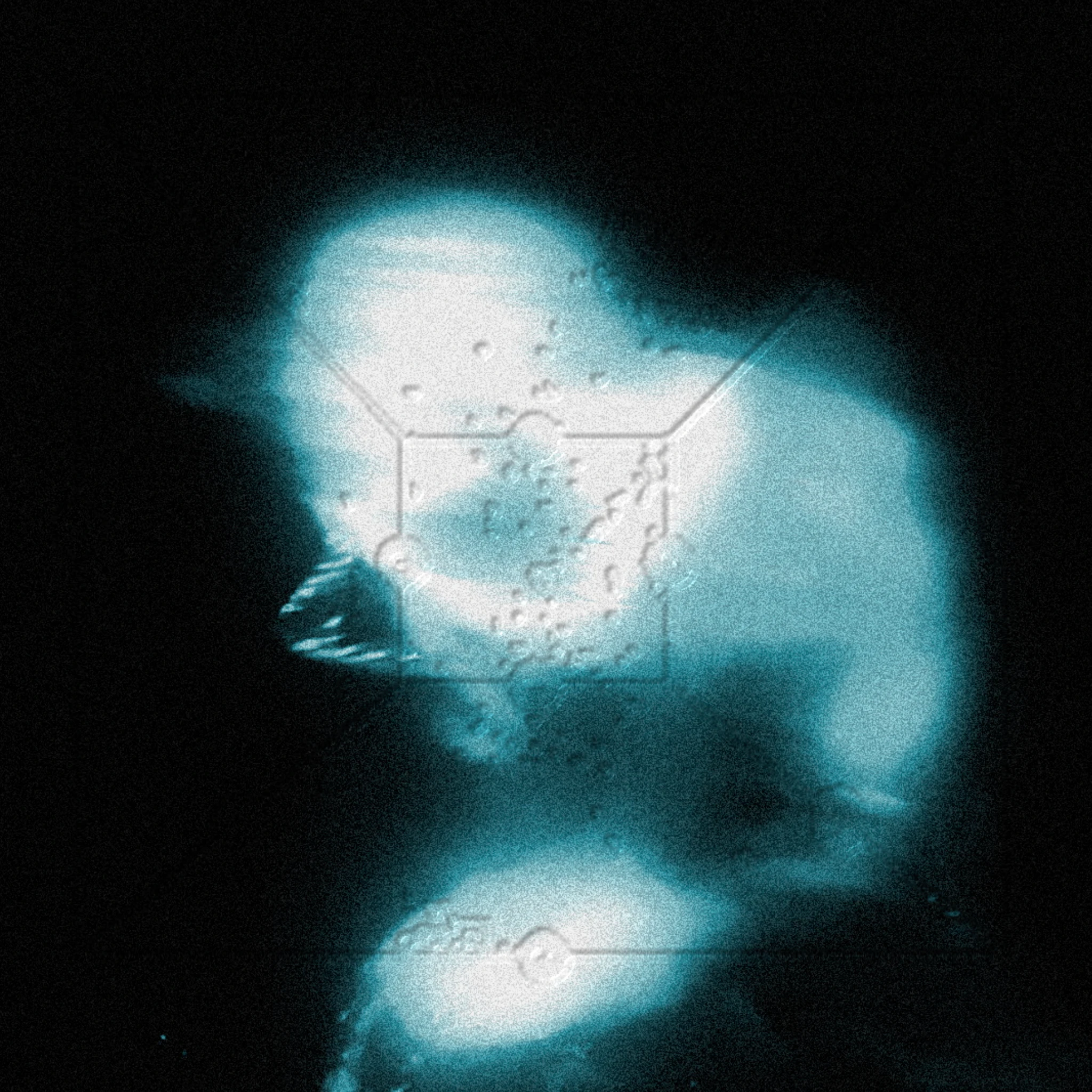 Eternal Raith - A Coastal Symphony