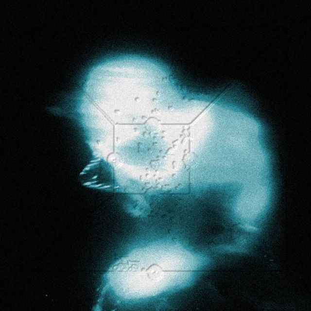 Eternal Raith - A Coastal Symphony