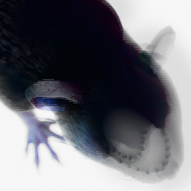 Eternal Raith & Smelliot - Protoglazed!