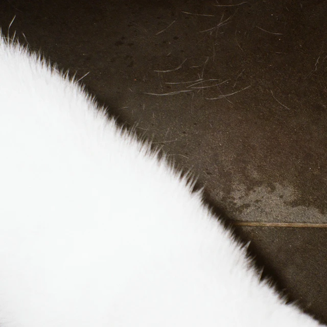 Mon - delete that story (◞‸◟)