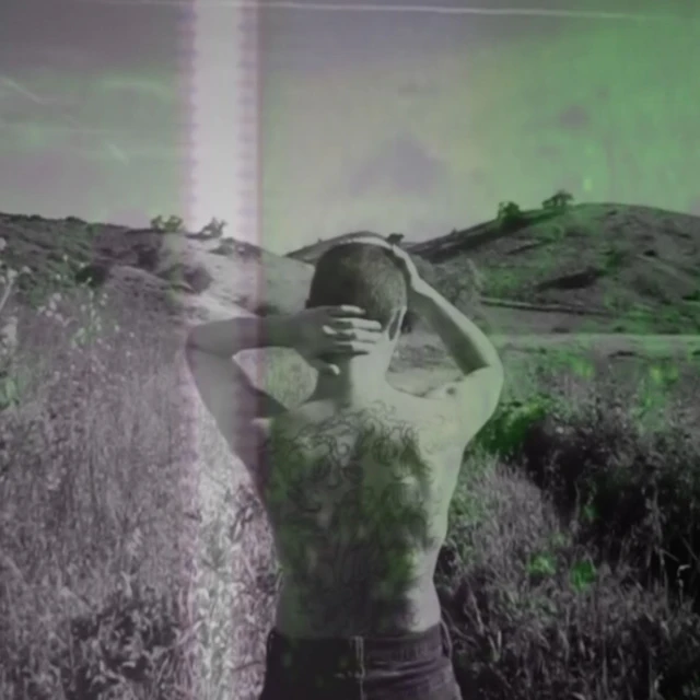 Ness Nite - For What It's Worth