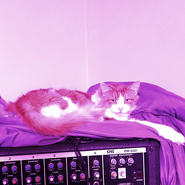 Lavender Decline - These Things Happen (Live From Studio D)