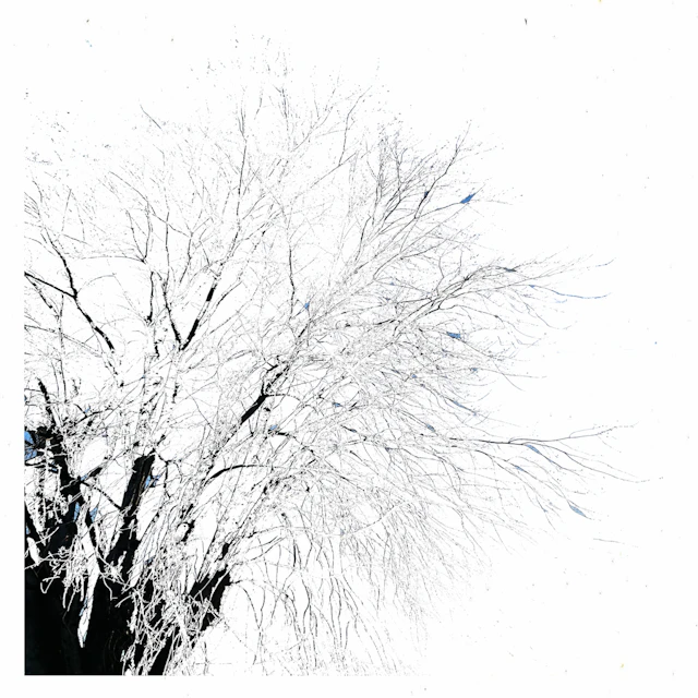 Keep Going, You're Doing Great - I Never Stopped Loving You