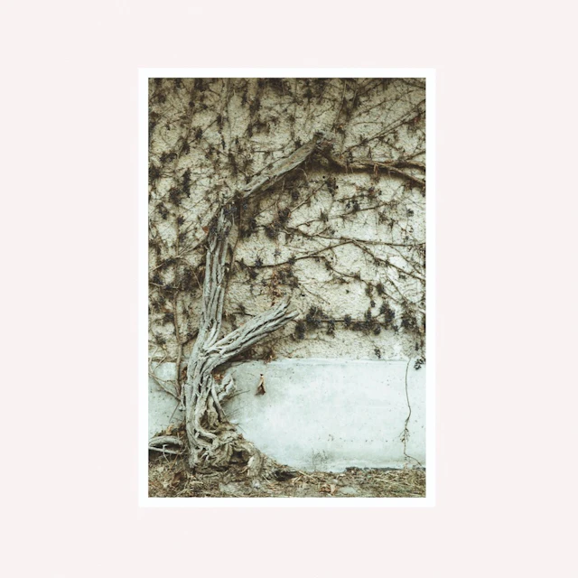 Cloks Tik - While one more robot learns to be