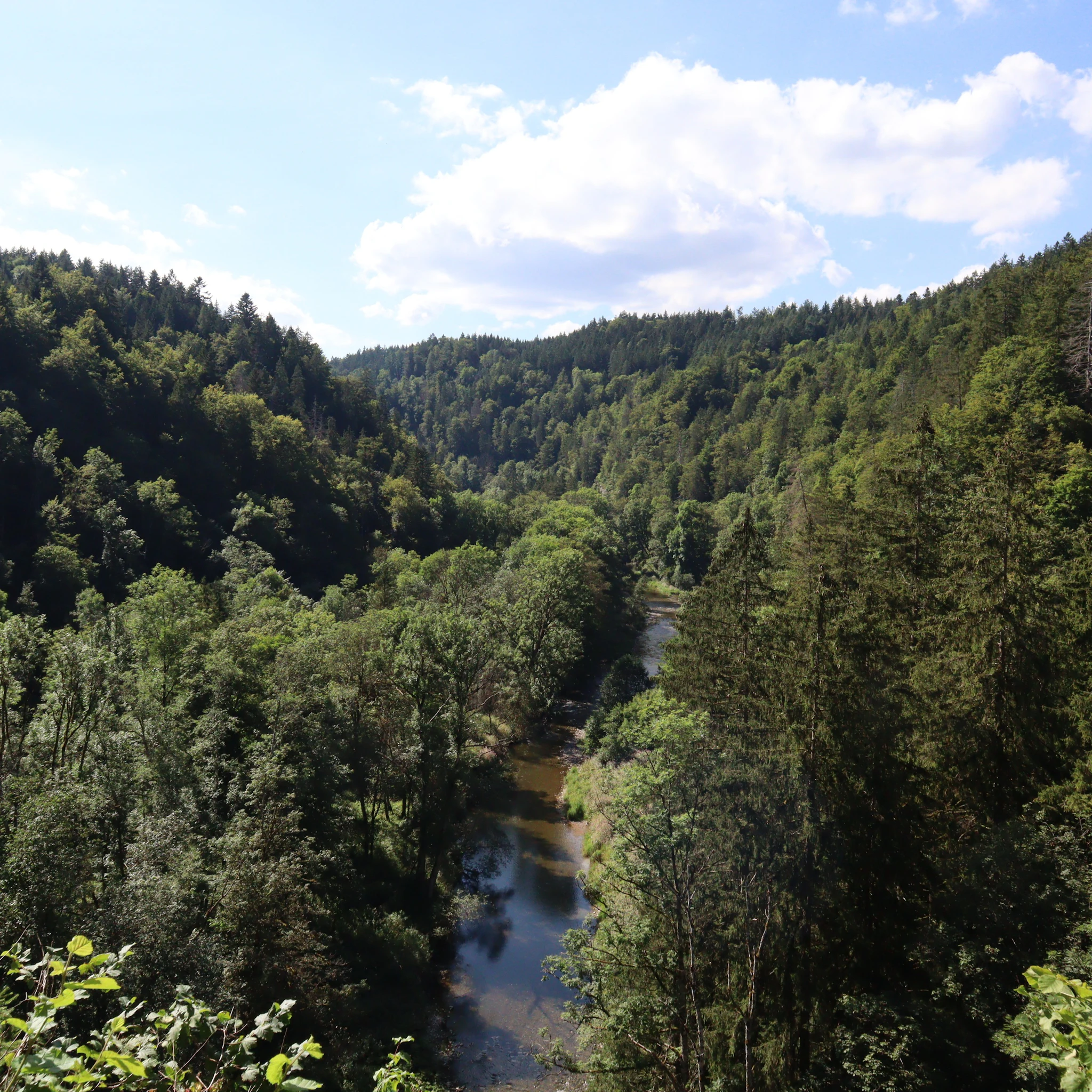 verde muerte - My Love Flows