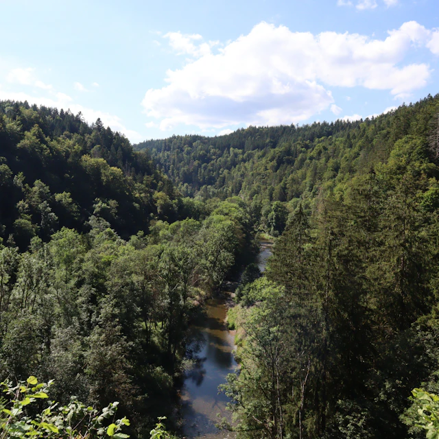 verde muerte - My Love Flows