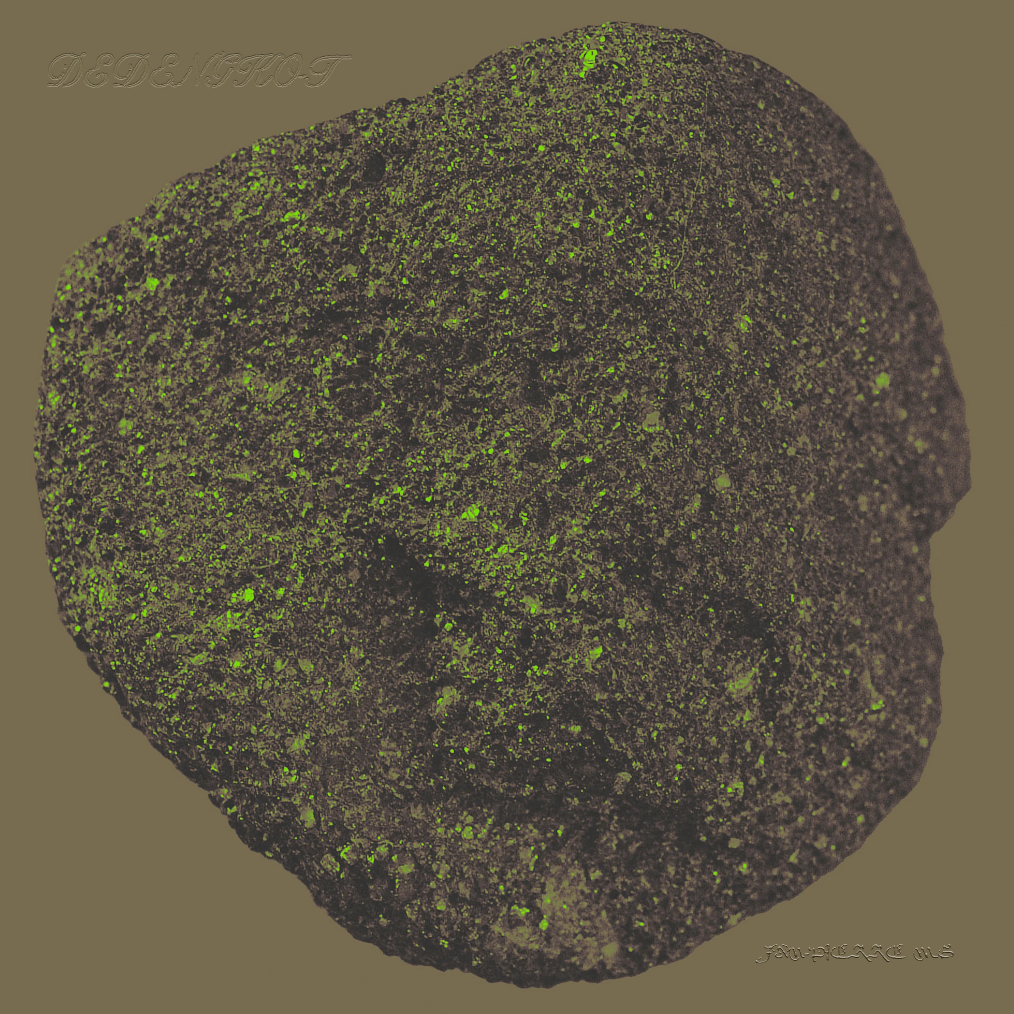 JAN-PIERRE M.G - DEDENGKOT