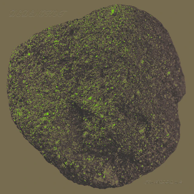 JAN-PIERRE M.G - DEDENGKOT