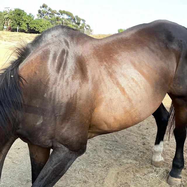 Hunter J Baker - wanna make a deal?/not afraid anymore