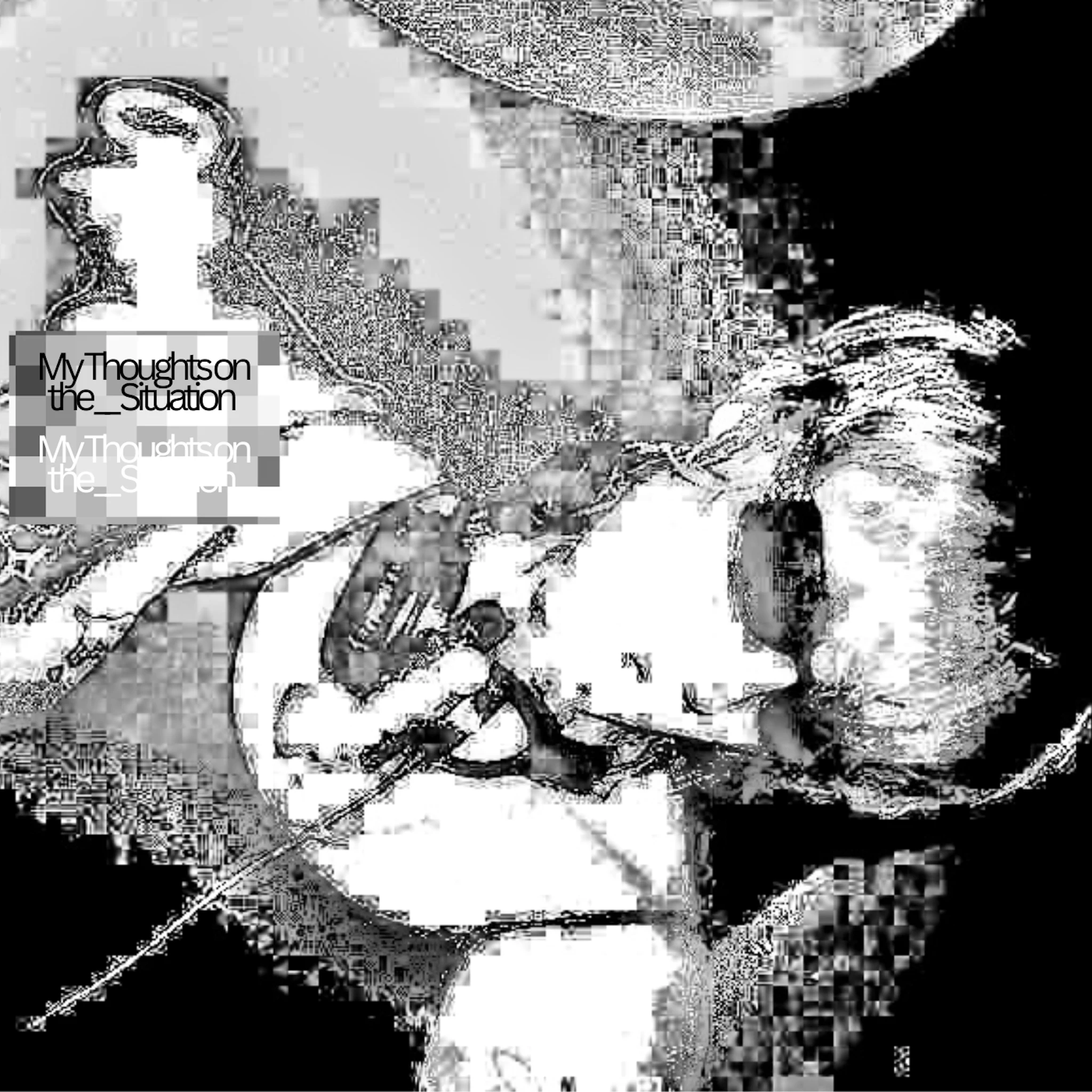 Piper Cinnamon - My Thoughts on the __ Situation