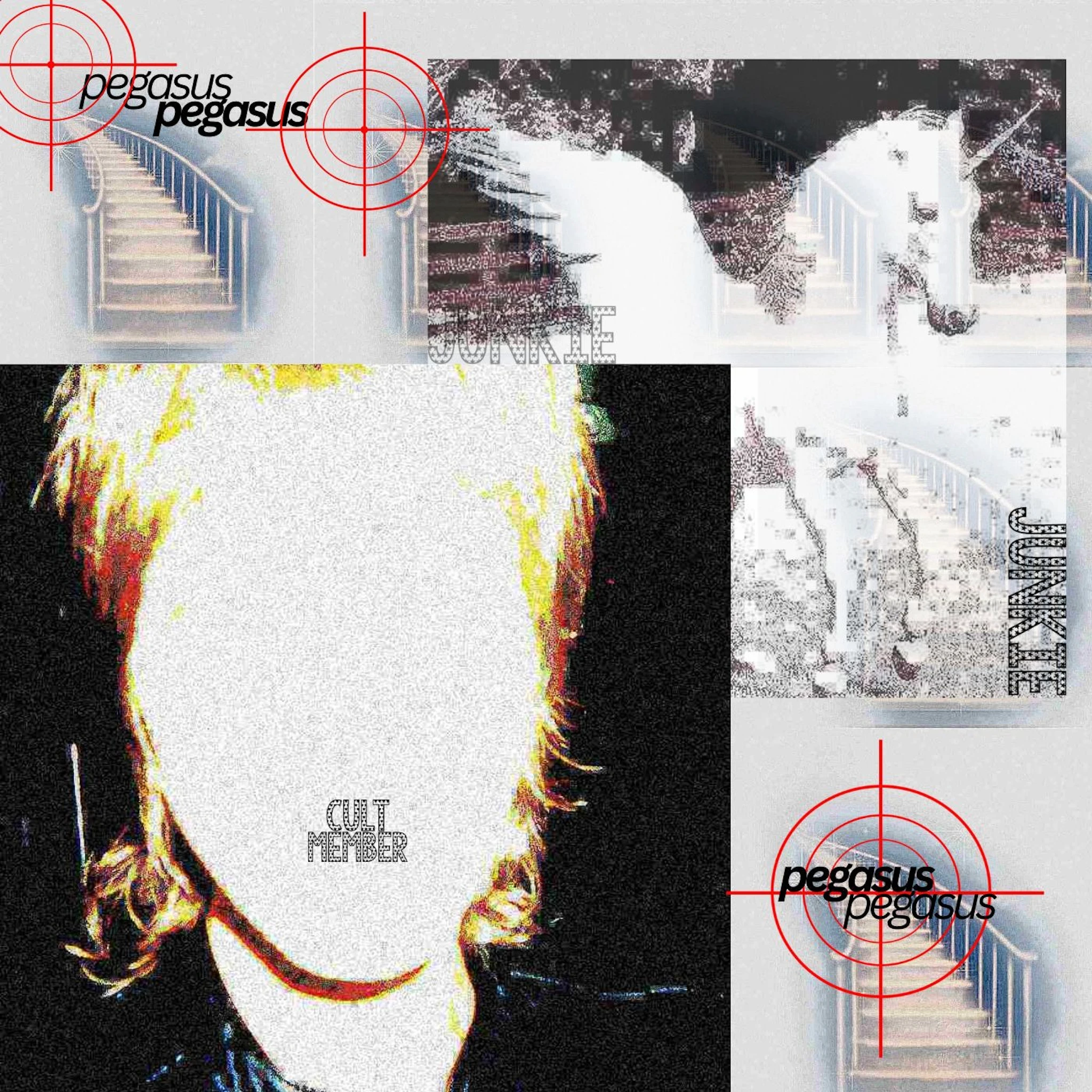 Piper Cinnamon - Pegasus