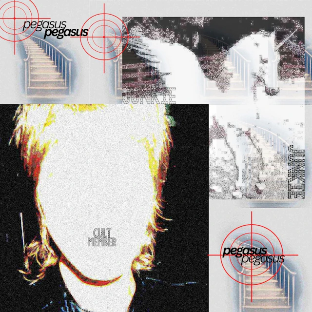 Piper Cinnamon - Pegasus