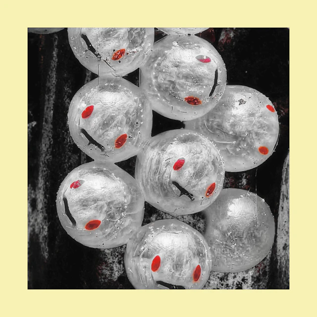 KWARP - Money Glitch 2