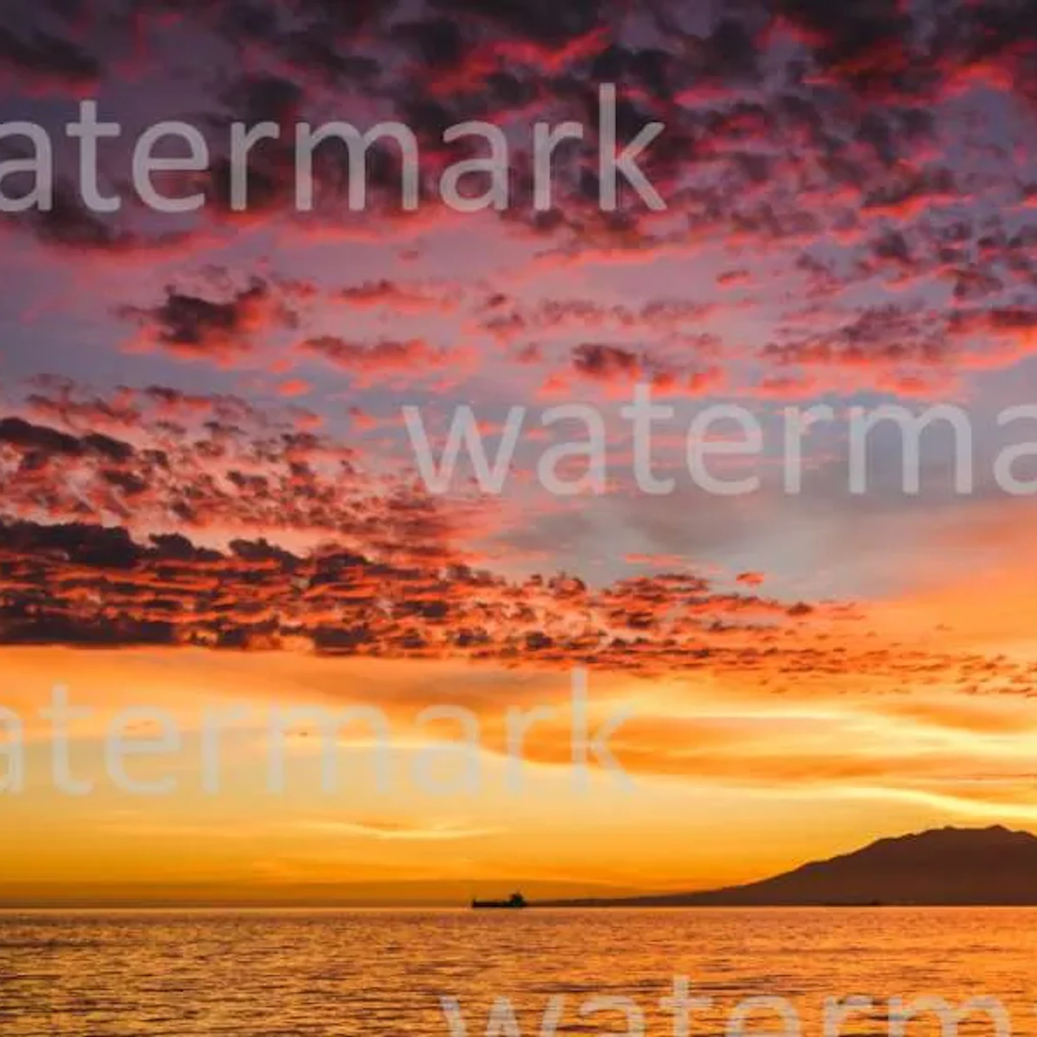 jmo corleone - (+)theeccotrail