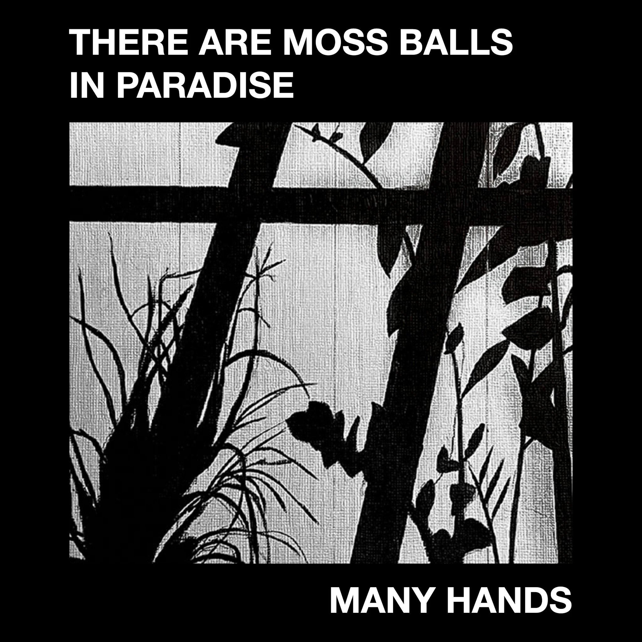 Many Hands - There are Moss Balls in Paradise