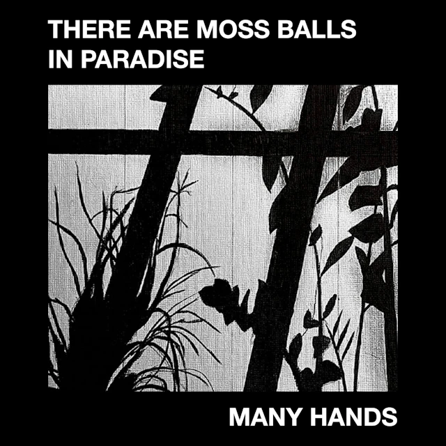 Many Hands - There are Moss Balls in Paradise