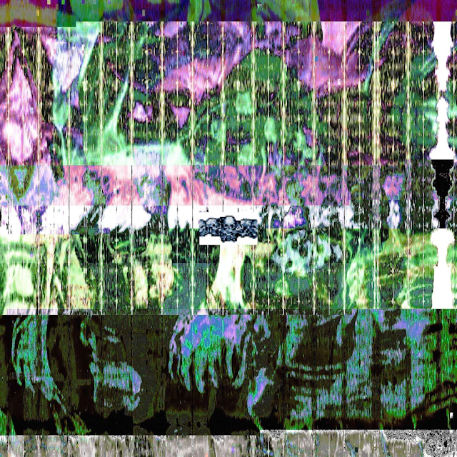 glamed and crushed - crushé808