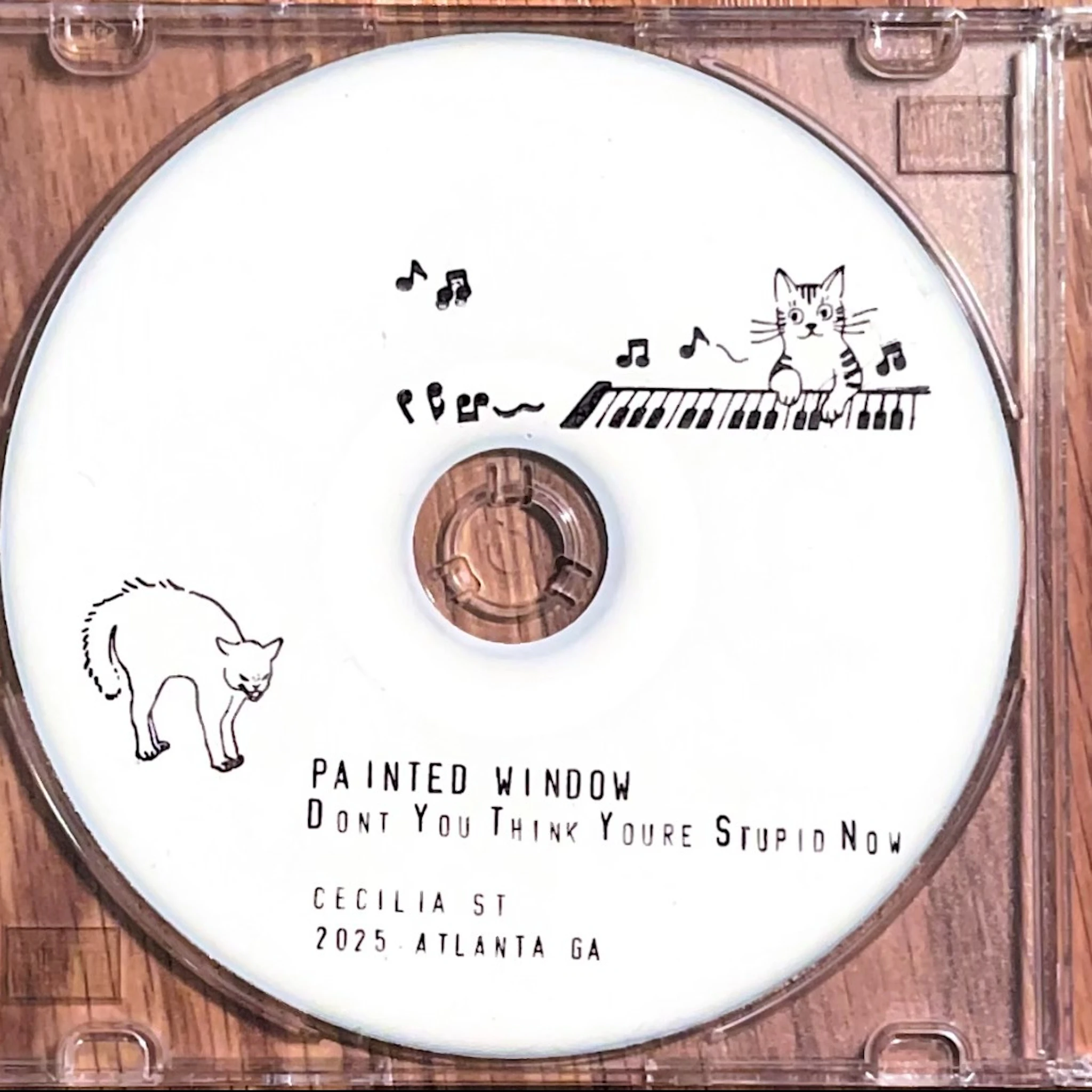 Painted Window - Don't You Think You're Stupid Now