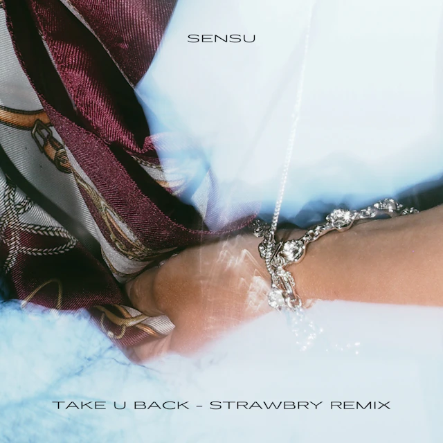 Sensu - Take U Back (STRAWBRY Remix)