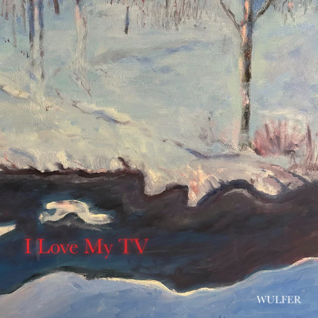 Wulfer - I Love My TV