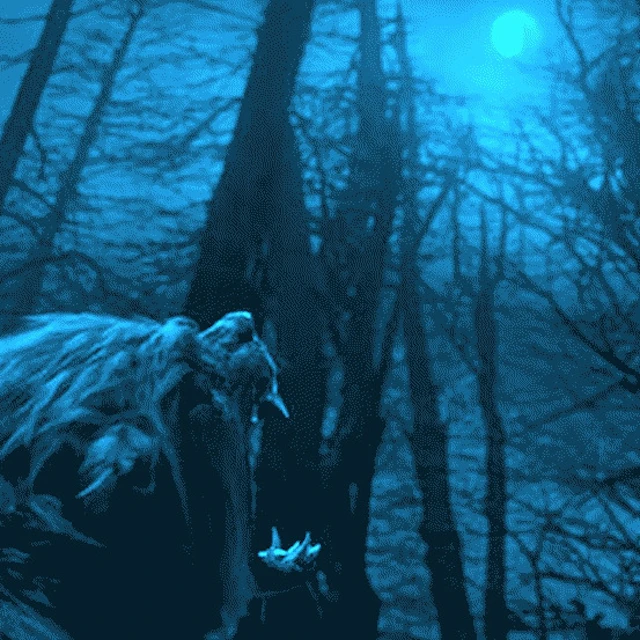 Mike Frogmouth & the Bells - Bad Moon