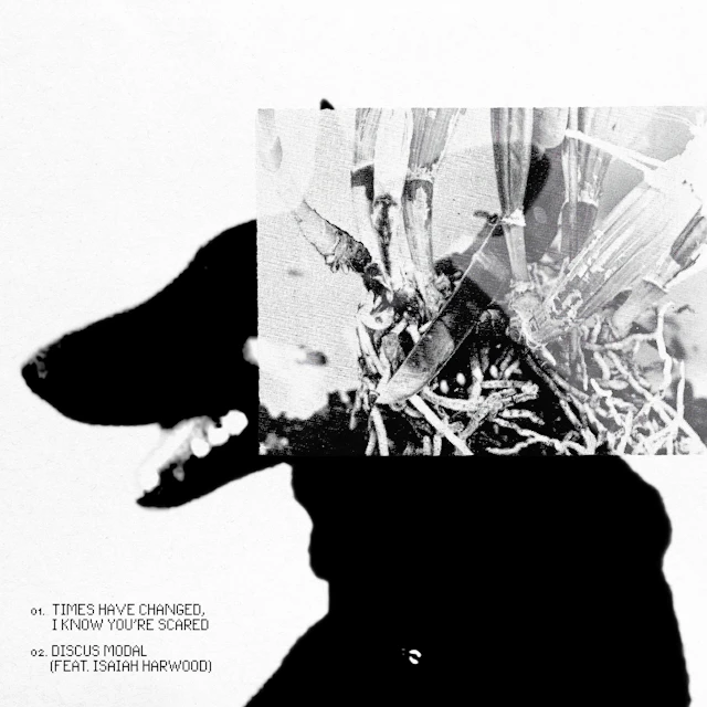 Sam Pine - TIMES HAVE CHANGED, I KNOW YOU'RE SCARED