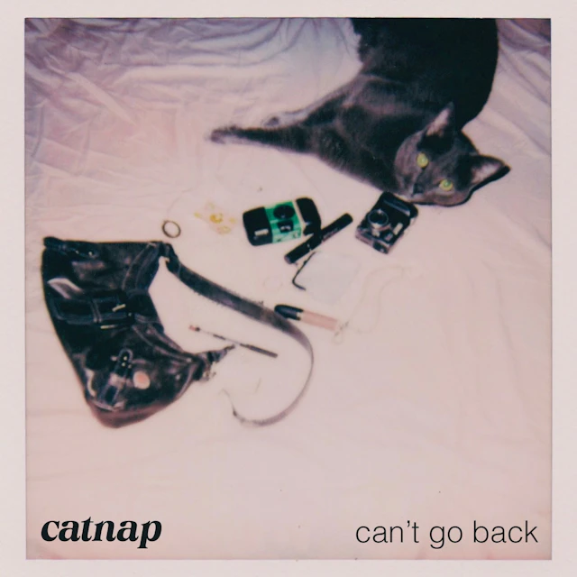 catnap - can't go back