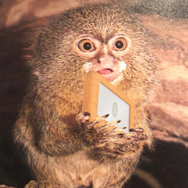 Hop - You Would Like That (album)