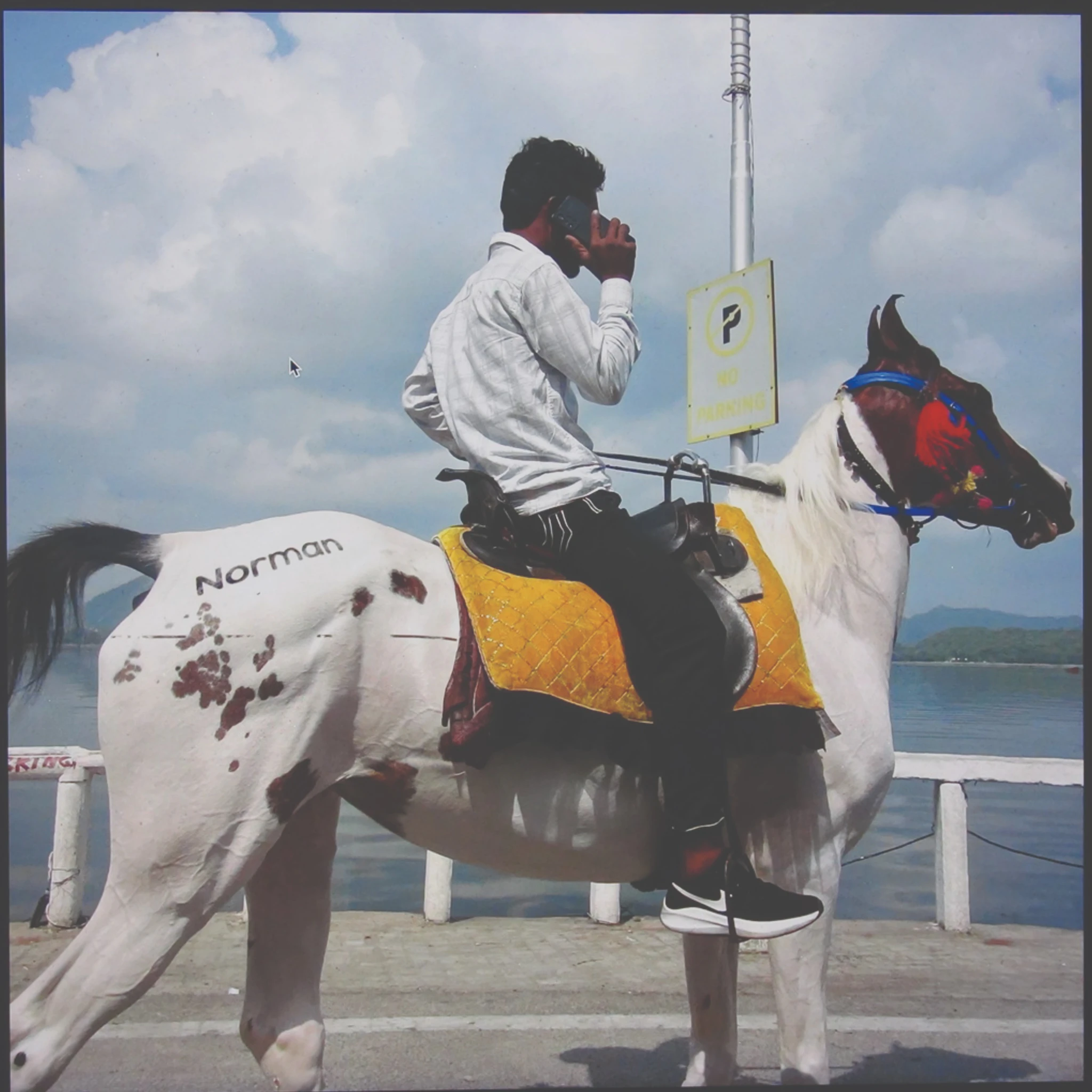 Norman D. Loco - i want a beer