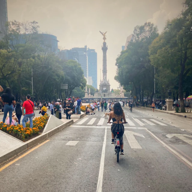 Lake Michigan - Cempasúchil