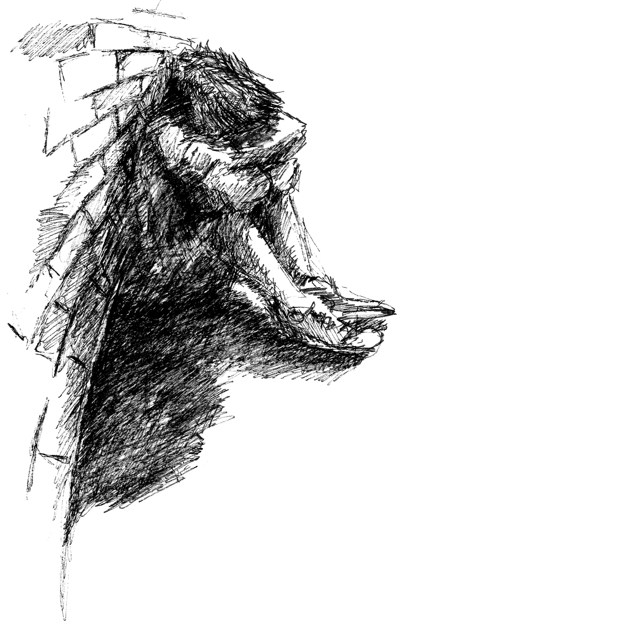 The Daniel Saunders Experiment - googie