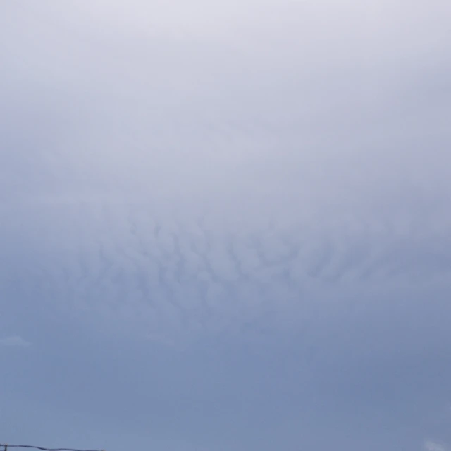 Raeliz Luvtell, Migratory Species - head in the clouds