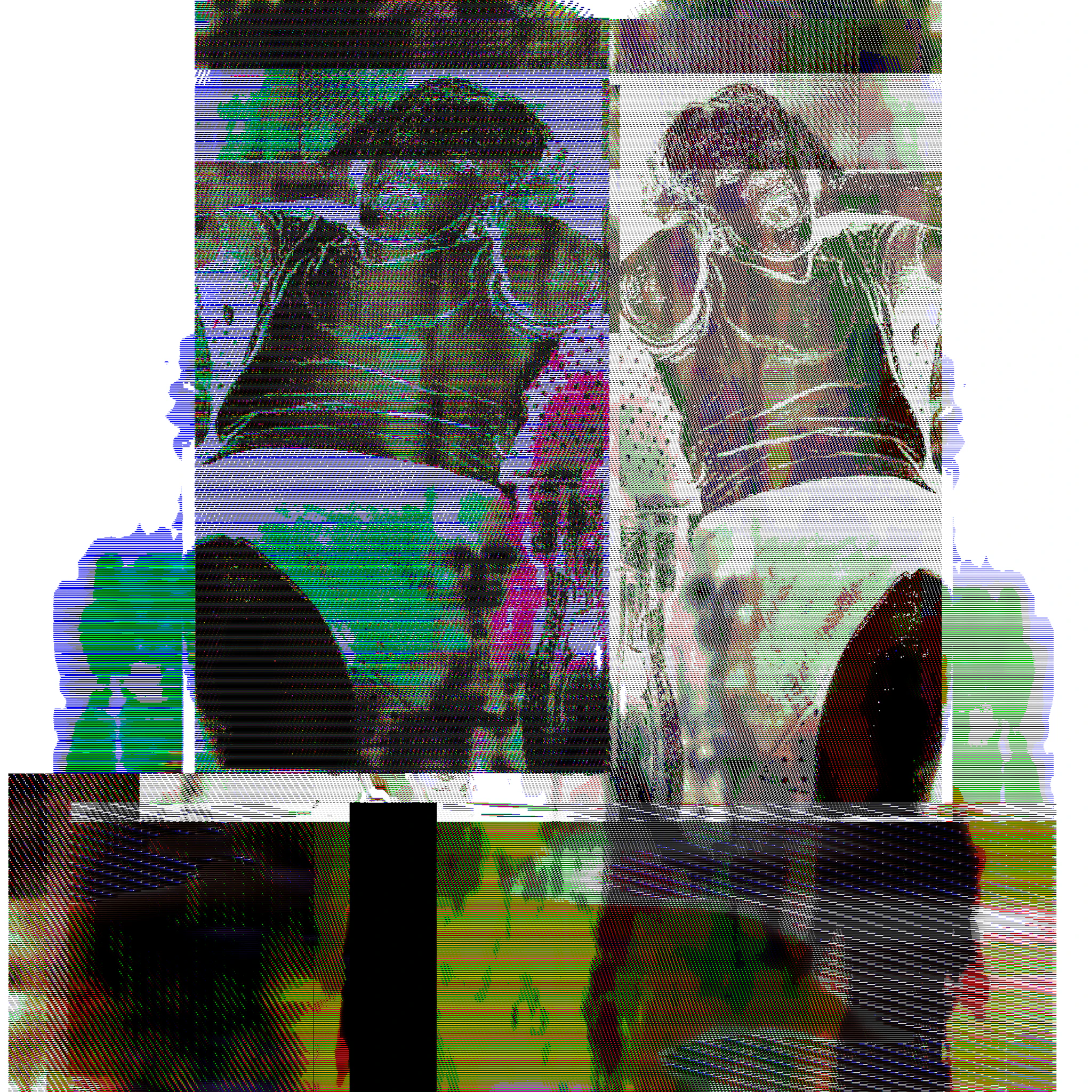 rat kitten - doughdeer